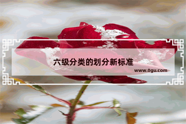 六级分类的划分新标准