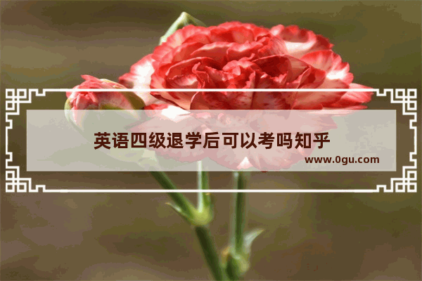 英语四级退学后可以考吗知乎