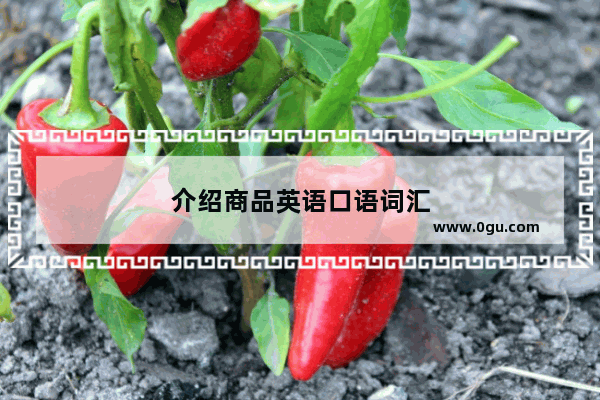 介绍商品英语口语词汇