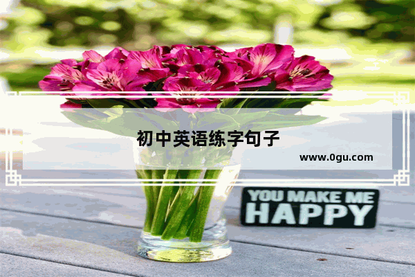 初中英语练字句子