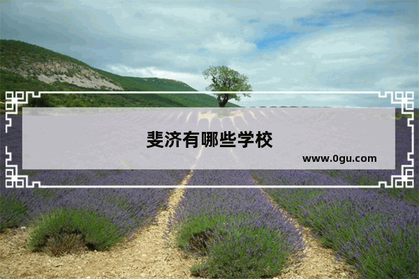 斐济有哪些学校