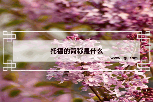 托福的简称是什么