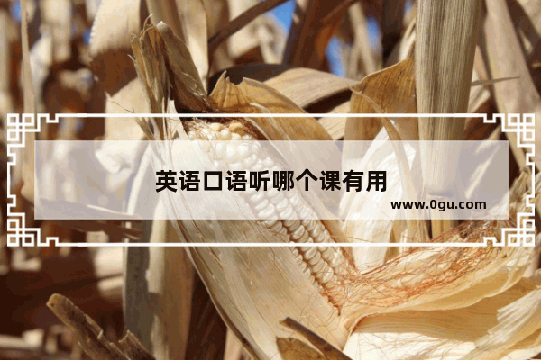 英语口语听哪个课有用
