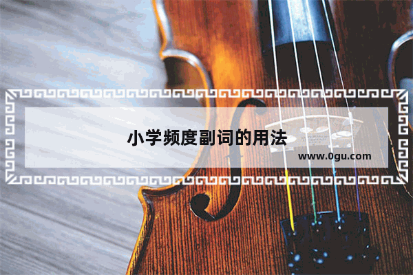 小学频度副词的用法