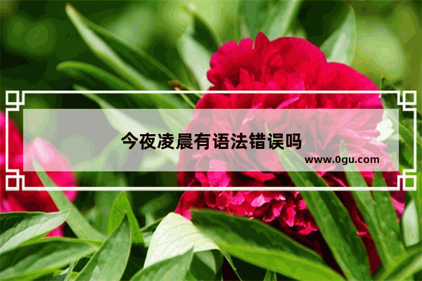 今夜凌晨有语法错误吗