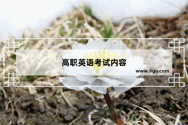 高职英语考试内容