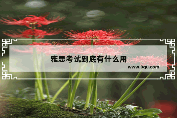 雅思考试到底有什么用