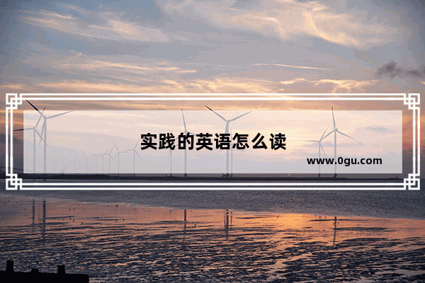 实践的英语怎么读