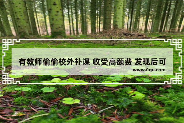 有教师偷偷校外补课 收受高额费 发现后可报案吗