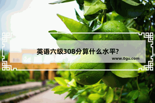 英语六级308分算什么水平?