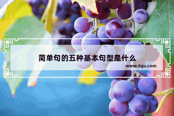 简单句的五种基本句型是什么