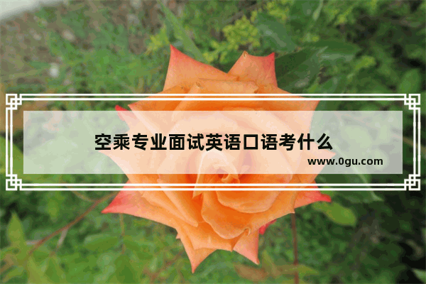 空乘专业面试英语口语考什么