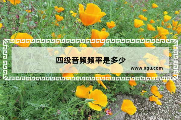 四级音频频率是多少