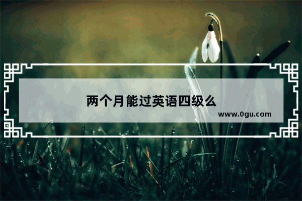 两个月能过英语四级么