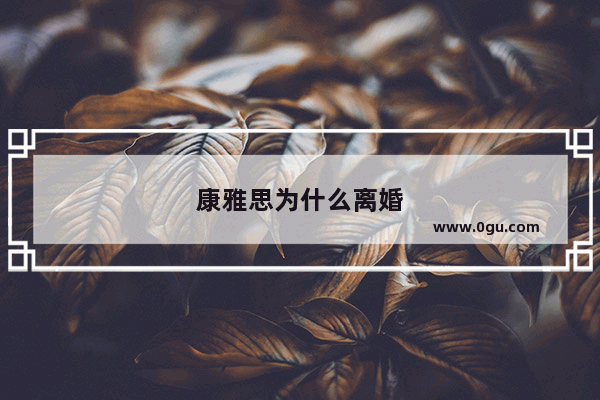 康雅思为什么离婚