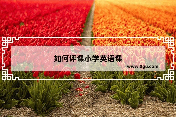 如何评课小学英语课