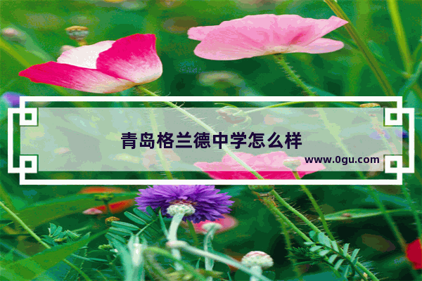 青岛格兰德中学怎么样