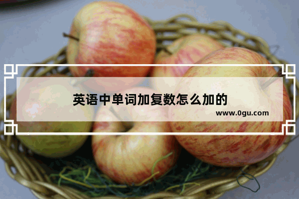 英语中单词加复数怎么加的