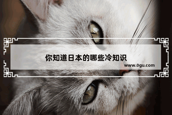 你知道日本的哪些冷知识