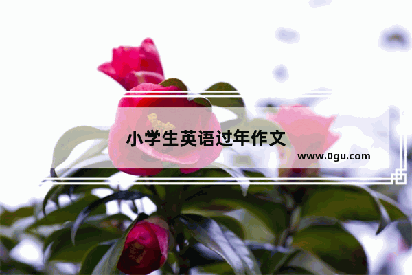 小学生英语过年作文