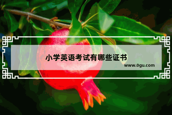 小学英语考试有哪些证书