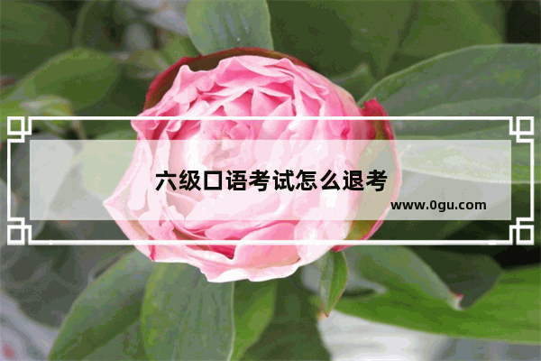 六级口语考试怎么退考