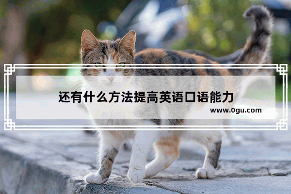 还有什么方法提高英语口语能力