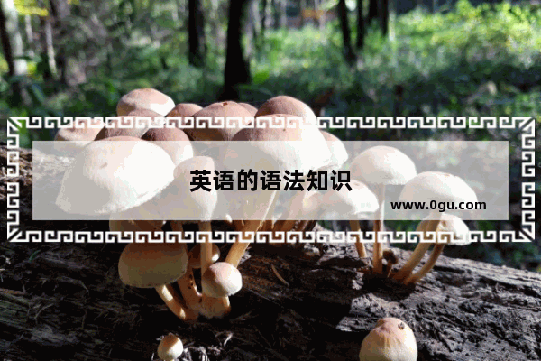 英语的语法知识
