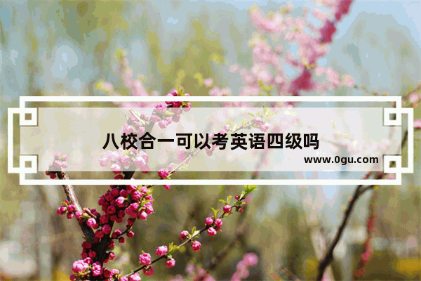 八校合一可以考英语四级吗