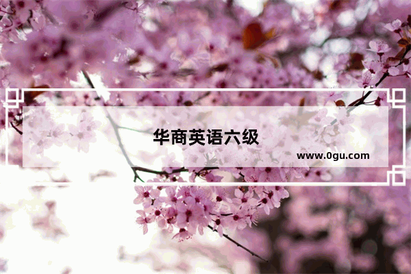 华商英语六级