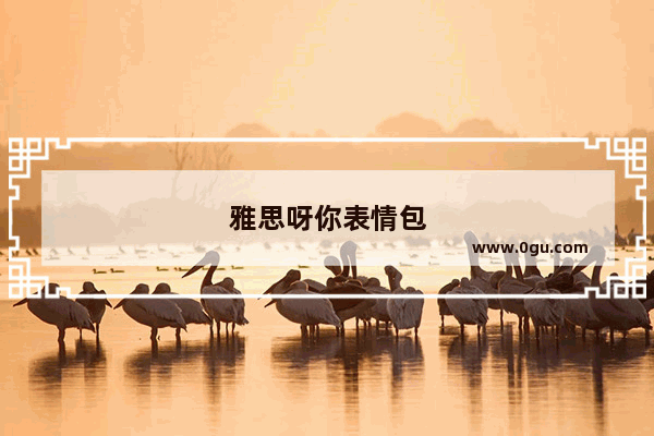 雅思呀你表情包