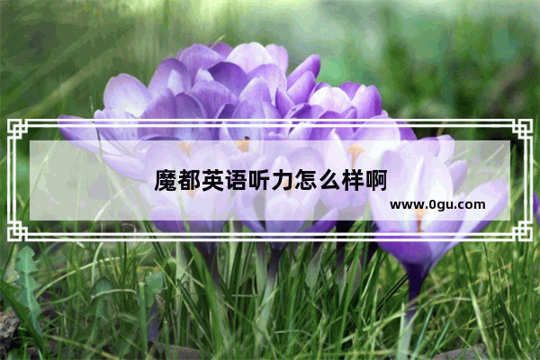 魔都英语听力怎么样啊