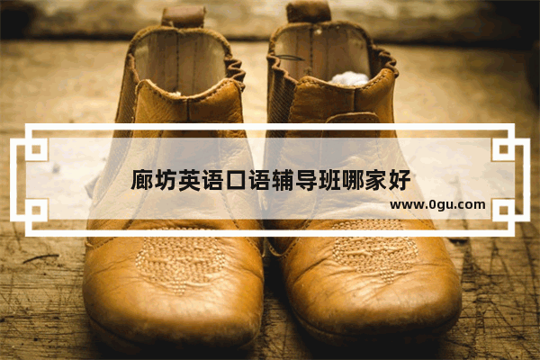 廊坊英语口语辅导班哪家好