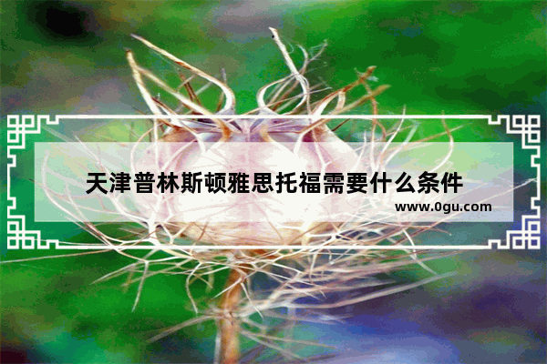 天津普林斯顿雅思托福需要什么条件