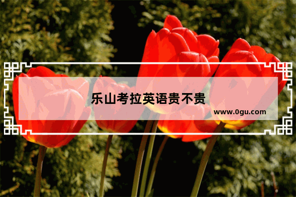 乐山考拉英语贵不贵