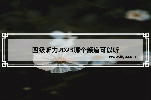 四级听力2023哪个频道可以听