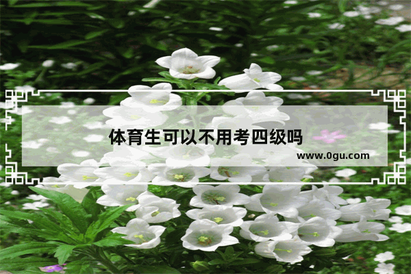 体育生可以不用考四级吗