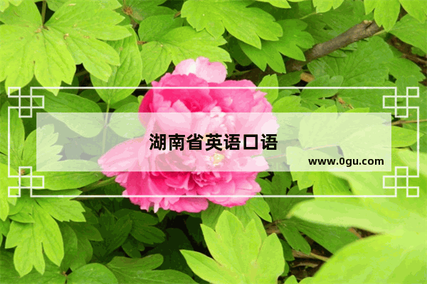湖南省英语口语