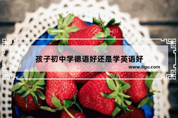 孩子初中学德语好还是学英语好