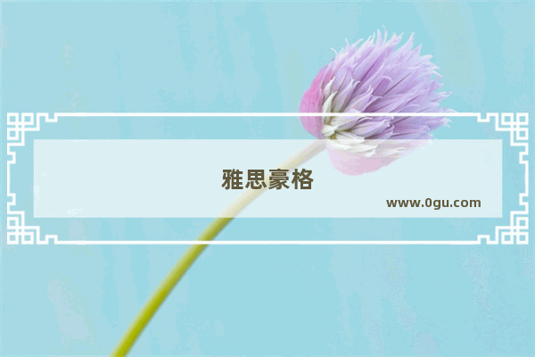 雅思豪格