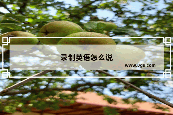 录制英语怎么说