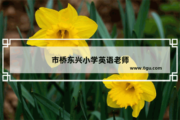市桥东兴小学英语老师