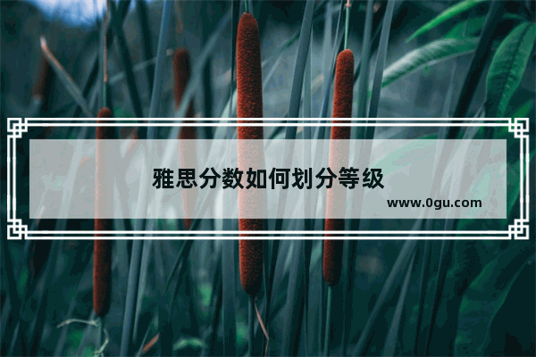雅思分数如何划分等级