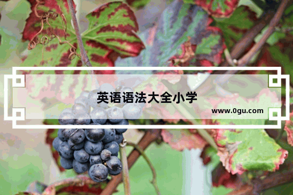 英语语法大全小学