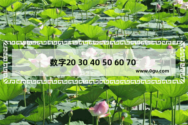 数字20 30 40 50 60 70 80 90 100用英文怎么写
