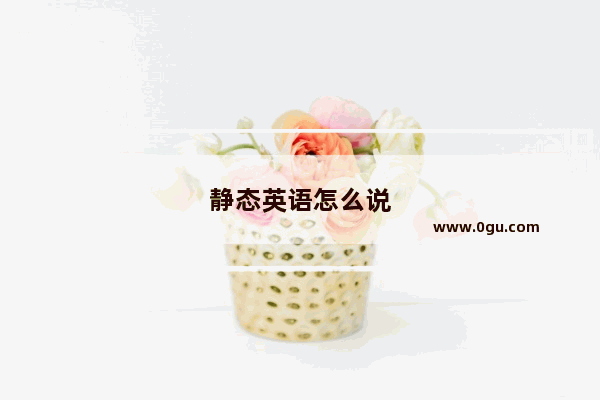 静态英语怎么说