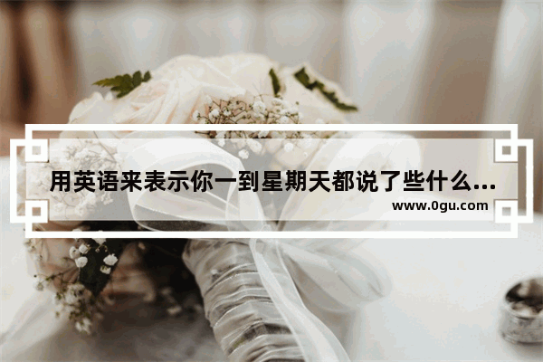 用英语来表示你一到星期天都说了些什么作文