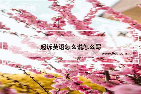 起诉英语怎么说怎么写