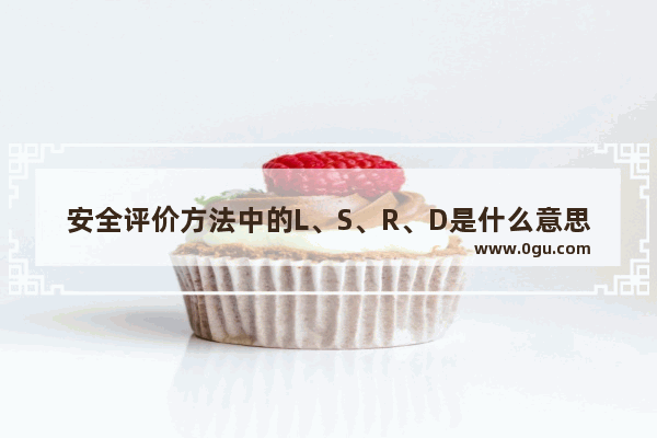 安全评价方法中的L、S、R、D是什么意思