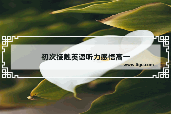 初次接触英语听力感悟高一